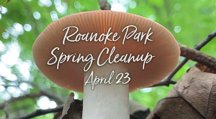 Roanoke Park Spring Cleanup